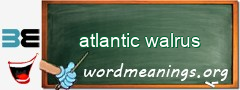 WordMeaning blackboard for atlantic walrus
